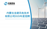 內(nèi)蒙古龍建風(fēng)電技術(shù)有限公司2025年度招聘