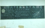 汽車工程系開展第十二個民族團(tuán)結(jié)進(jìn)步宣傳月主題班會活動