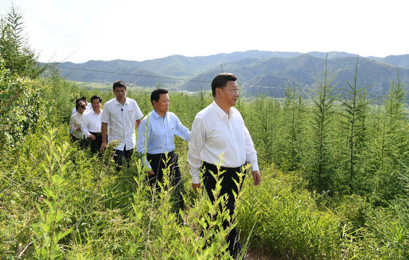 7月15日至16日，中共中央總書記、國(guó)家主席、中央軍委主席習(xí)近平在內(nèi)蒙古考察并指導(dǎo)開(kāi)展“不忘初心、牢記使命”主題教育。這是15日下午，習(xí)近平在赤峰市喀喇沁旗馬鞍山林場(chǎng)林區(qū)，沿著崎嶇的護(hù)林小道察看林木長(zhǎng)勢(shì)。