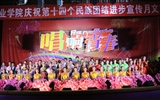 學(xué)院舉辦慶祝第十四個民族團(tuán)結(jié)進(jìn)步宣傳月文藝晚會